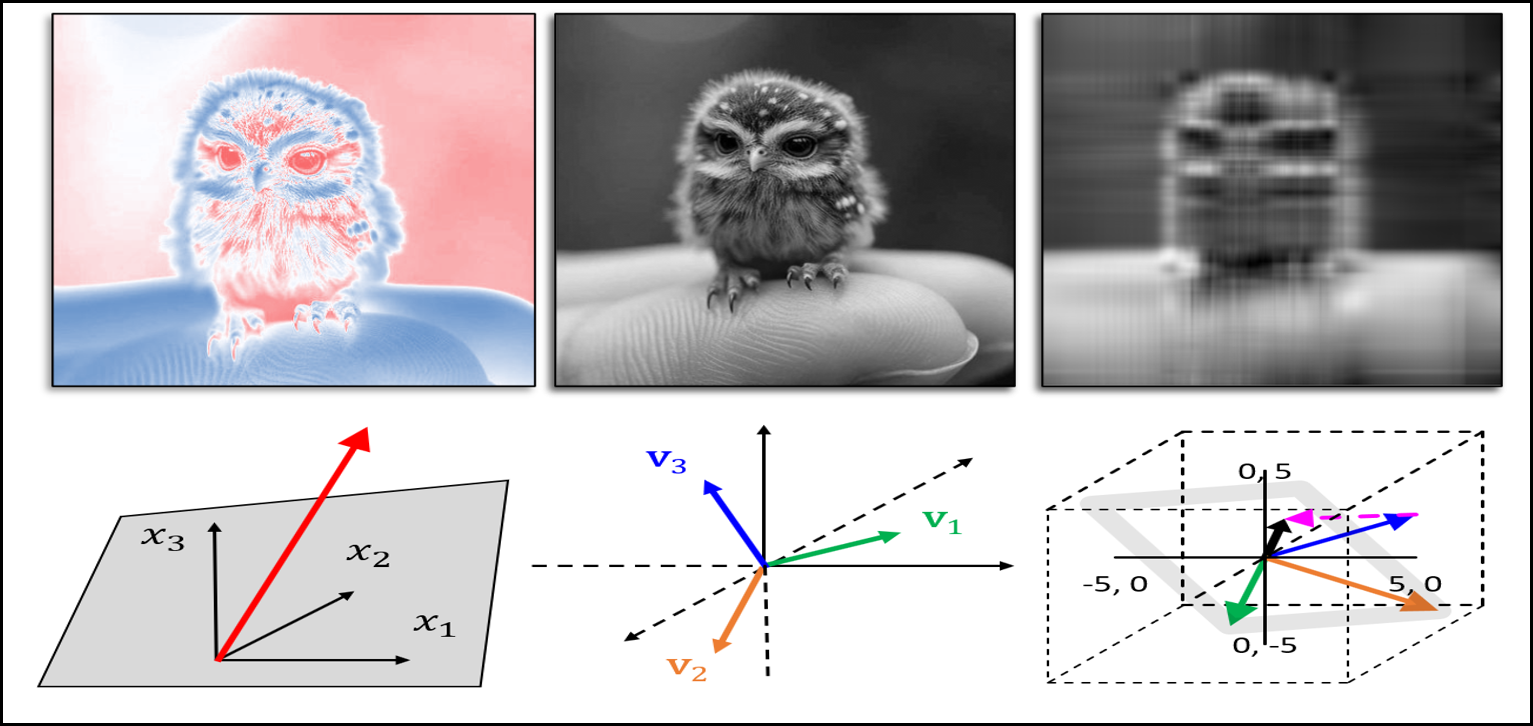 Singular Value Decomposition